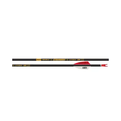 PANDARUS ARROW SET CARBON CHAMPION